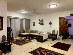 Parkshore (D15), Condominium #438418811
